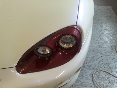 20100303349.jpg