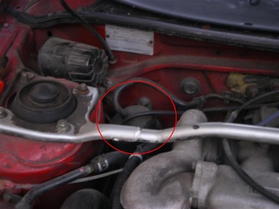 IMGP22761.JPG