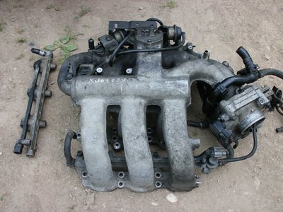 CIMG1128.JPG