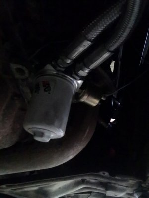 20110618419.jpg