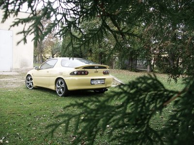 100_7841.JPG