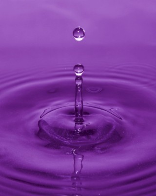 IMG_1843 copy.jpg
