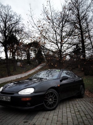 100_3892.jpg