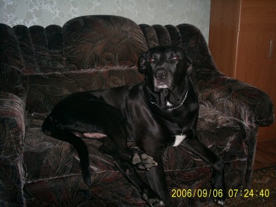 Audriaus fotkes 006.jpg