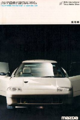 pg19_10b.jpg
